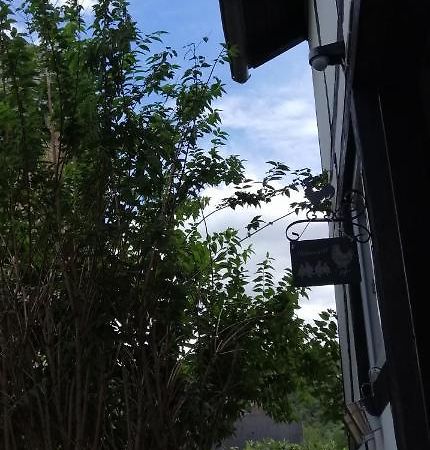 Huehnerstaellchen Dumpelfeld 外观 照片